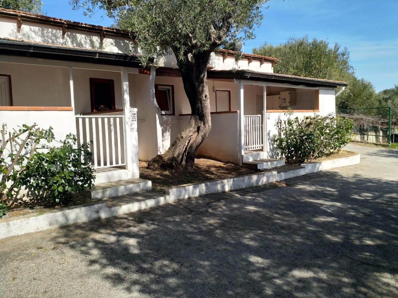 Villaggio Residence Villamarina Marina di Camerota Dış mekan fotoğraf