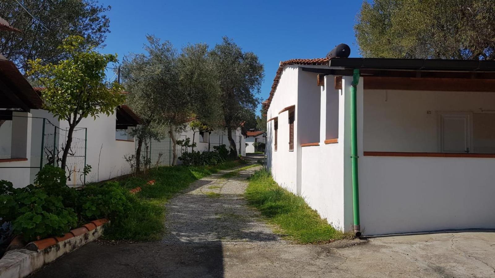 Villaggio Residence Villamarina Marina di Camerota Dış mekan fotoğraf